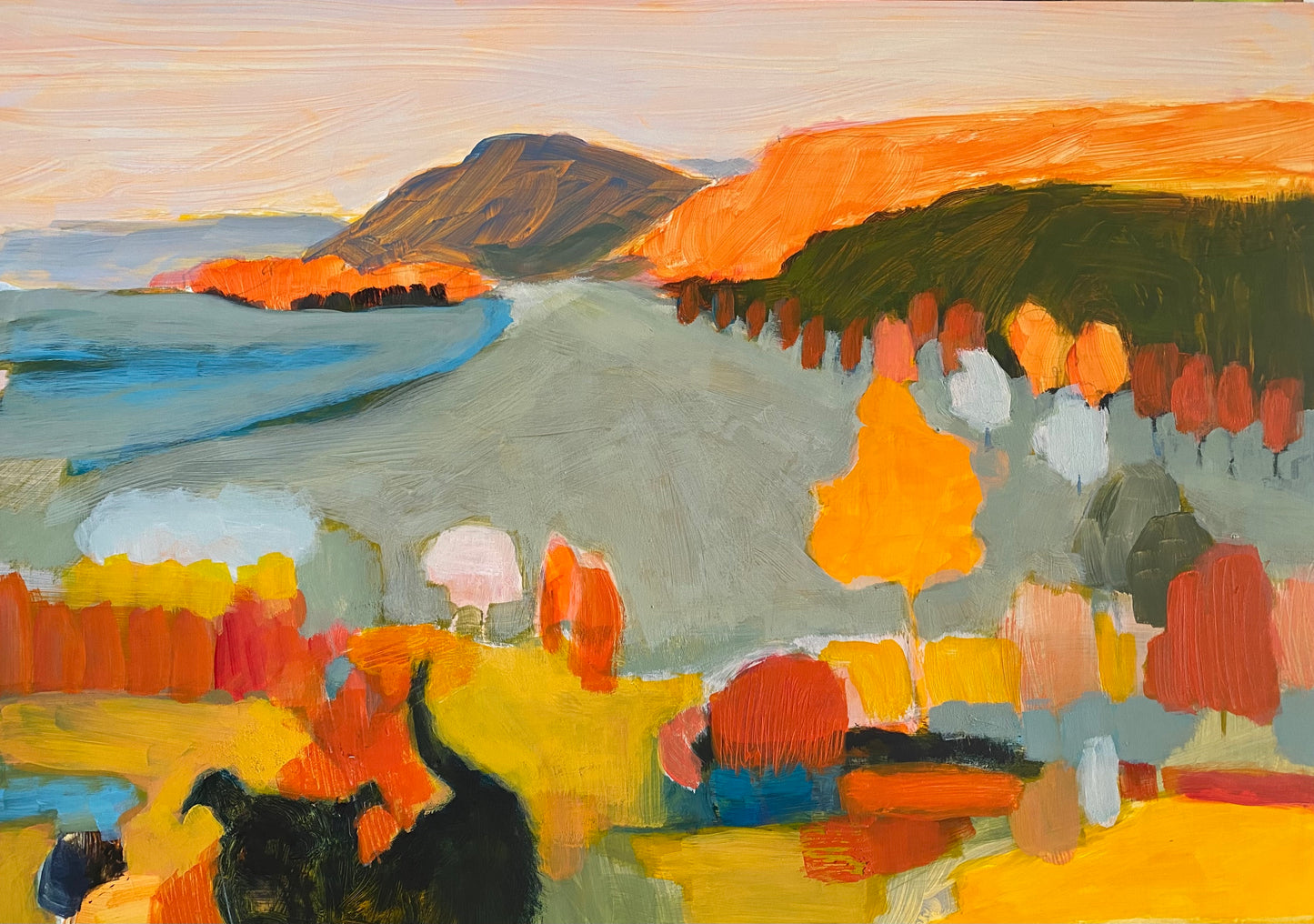 Coolongatta Study