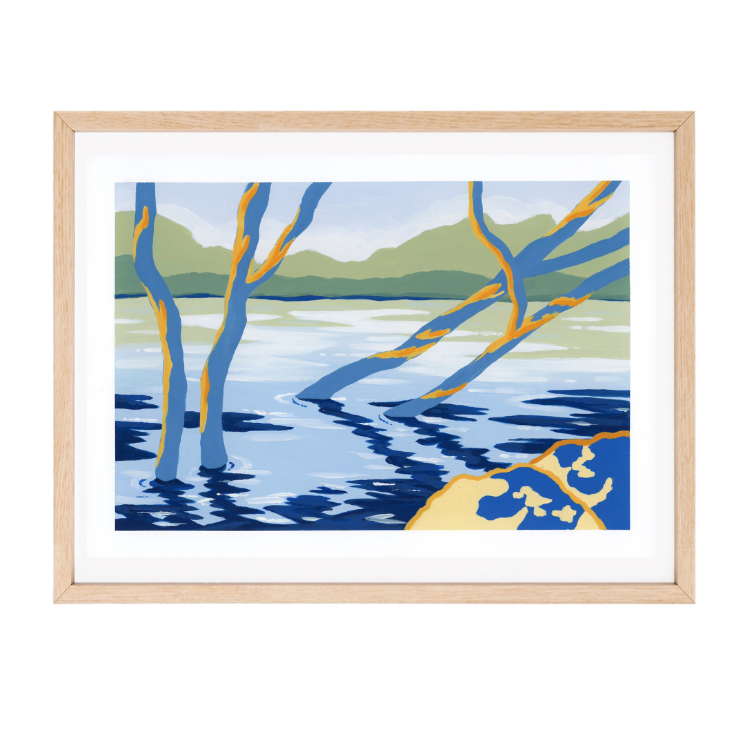 Mangroves of Marrickville
