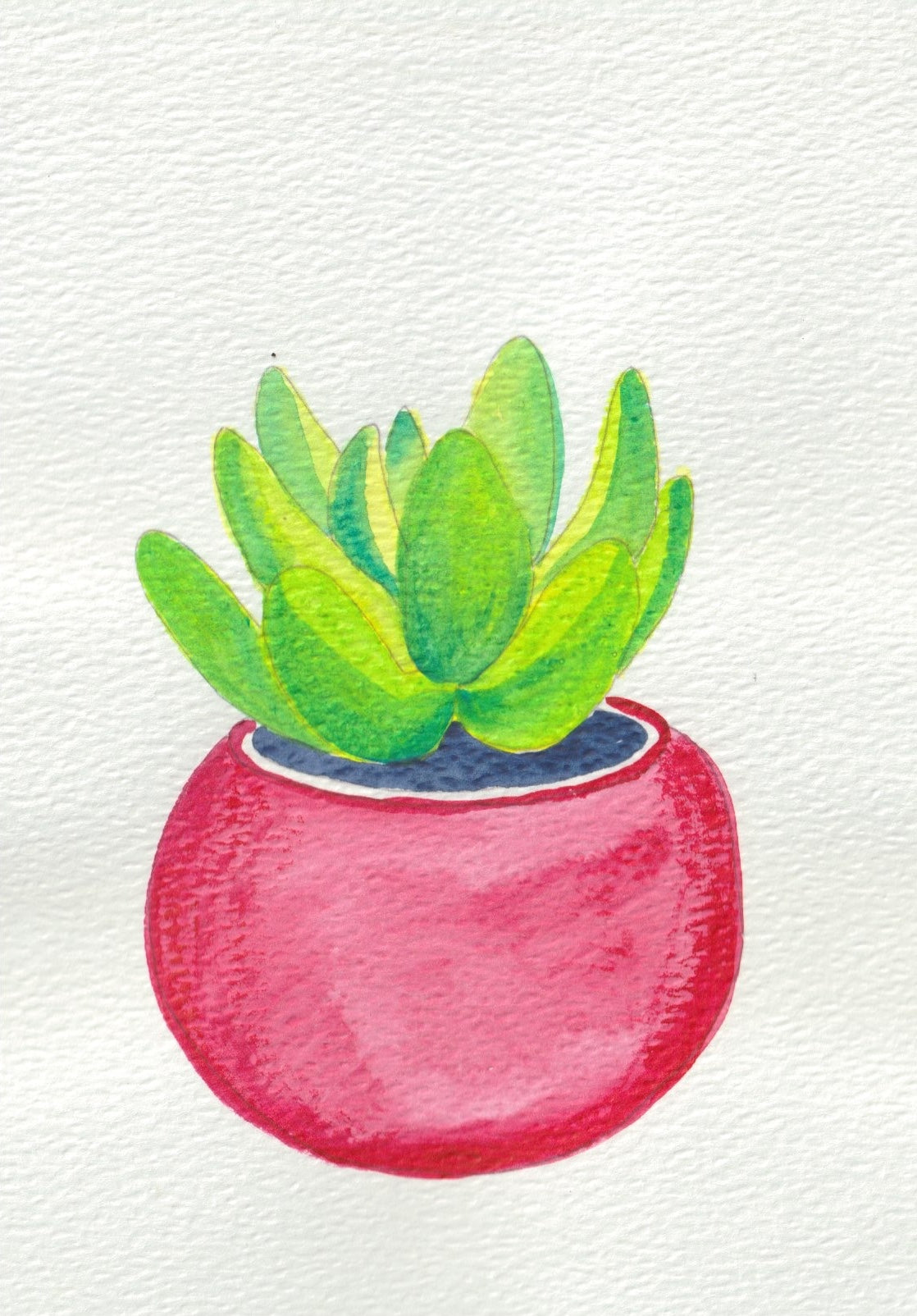 Party Plant A5