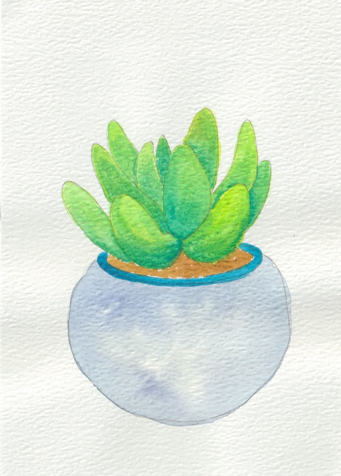 Party Plant A5