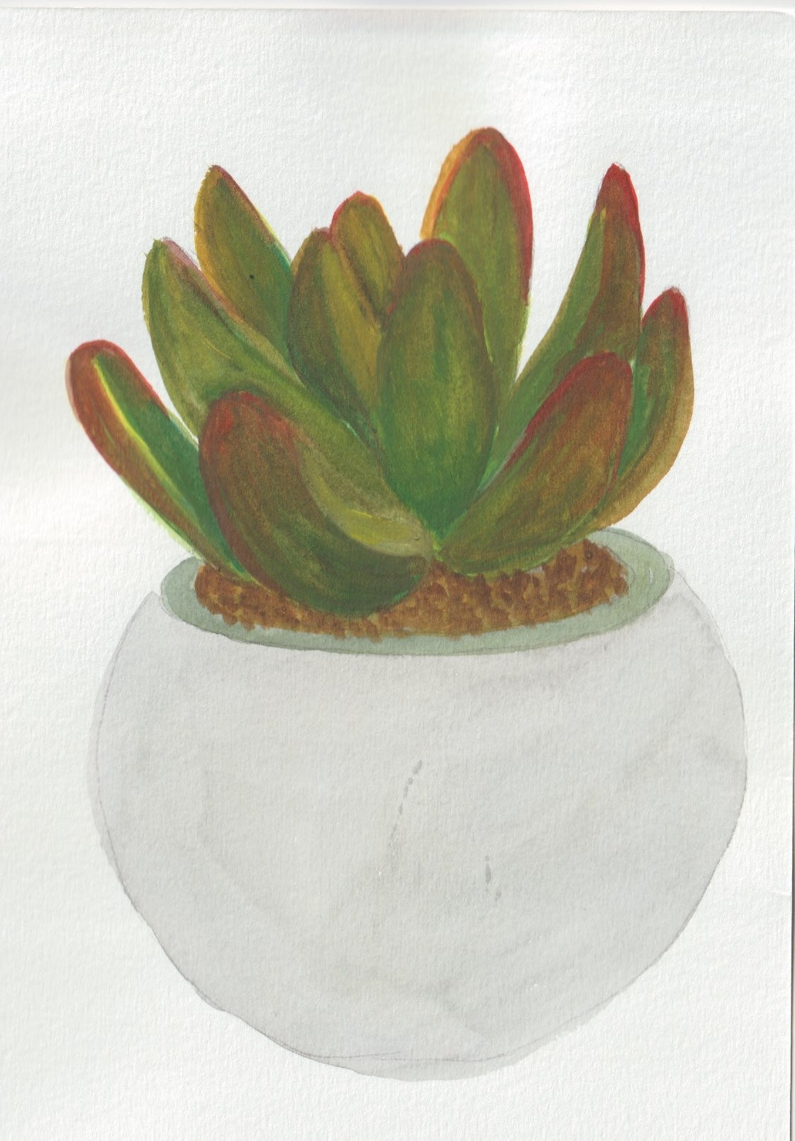 Party Plant A5