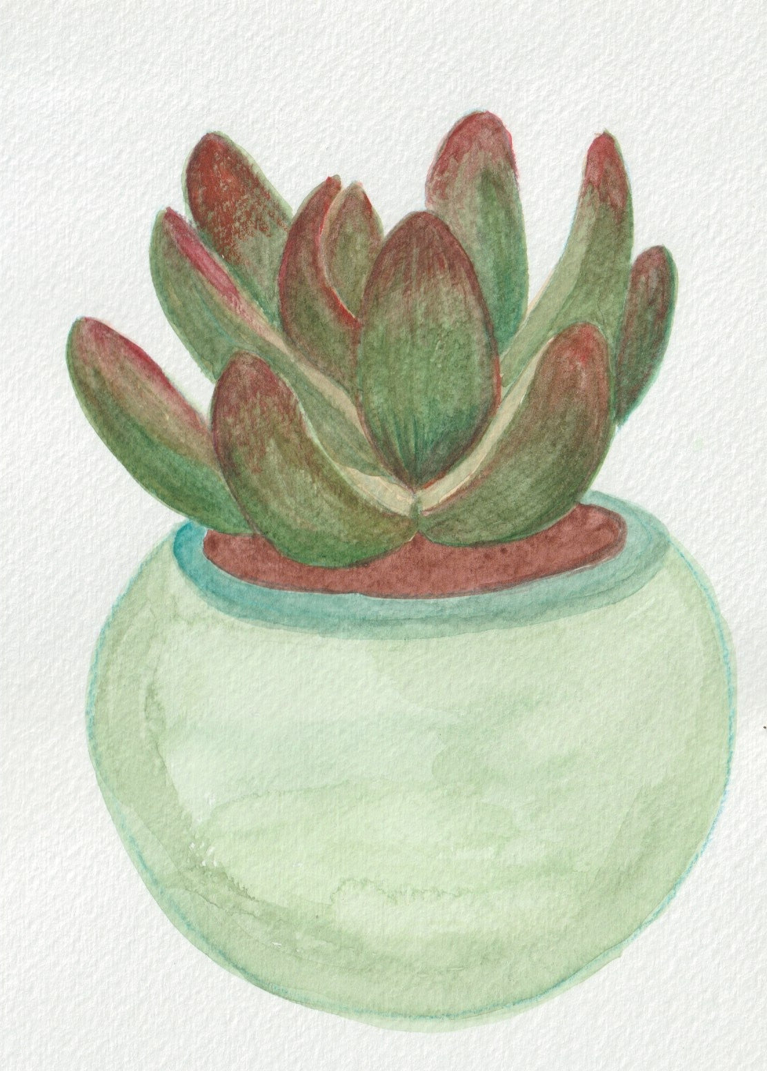 Party Plant A5
