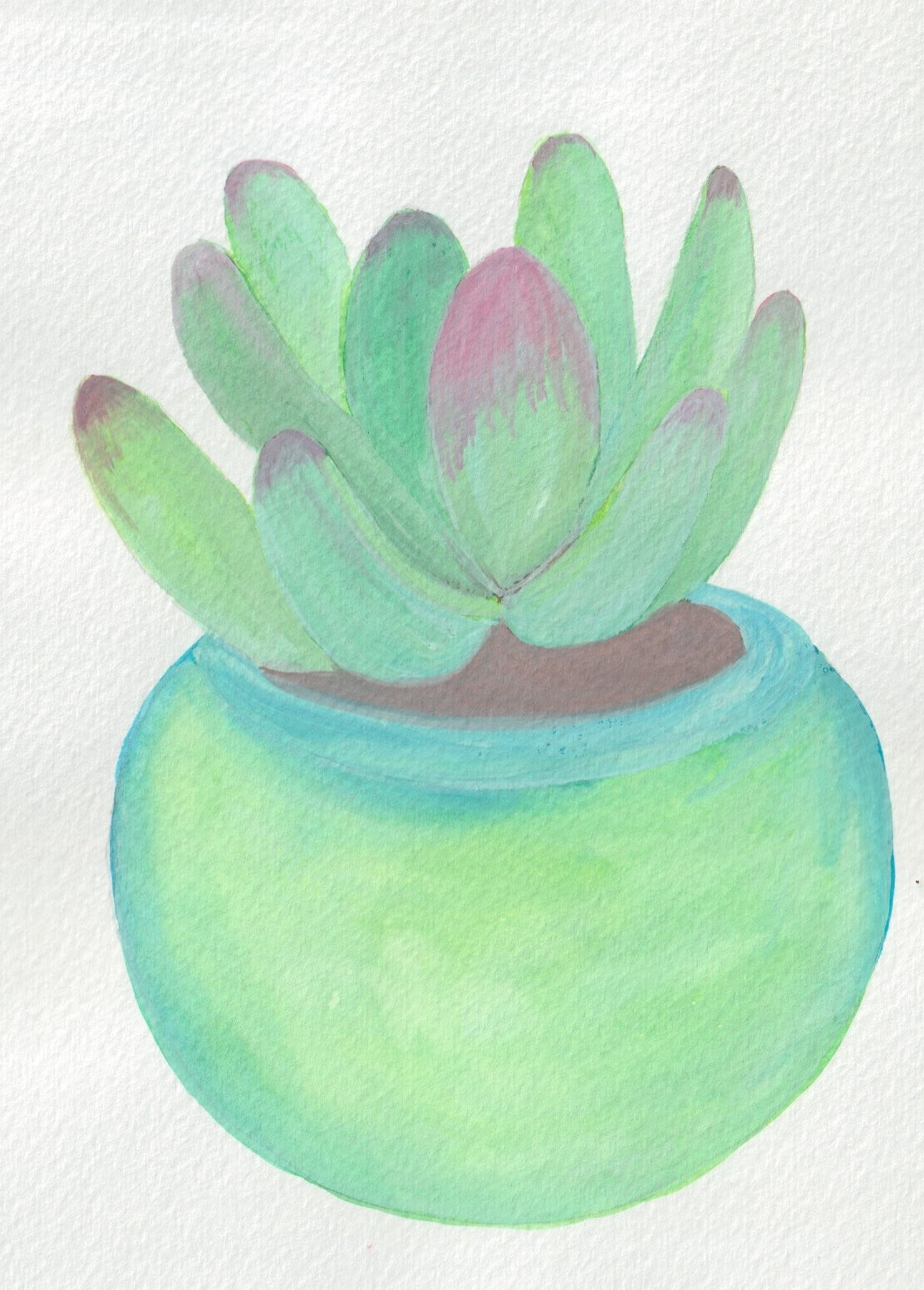 Party Plant A5