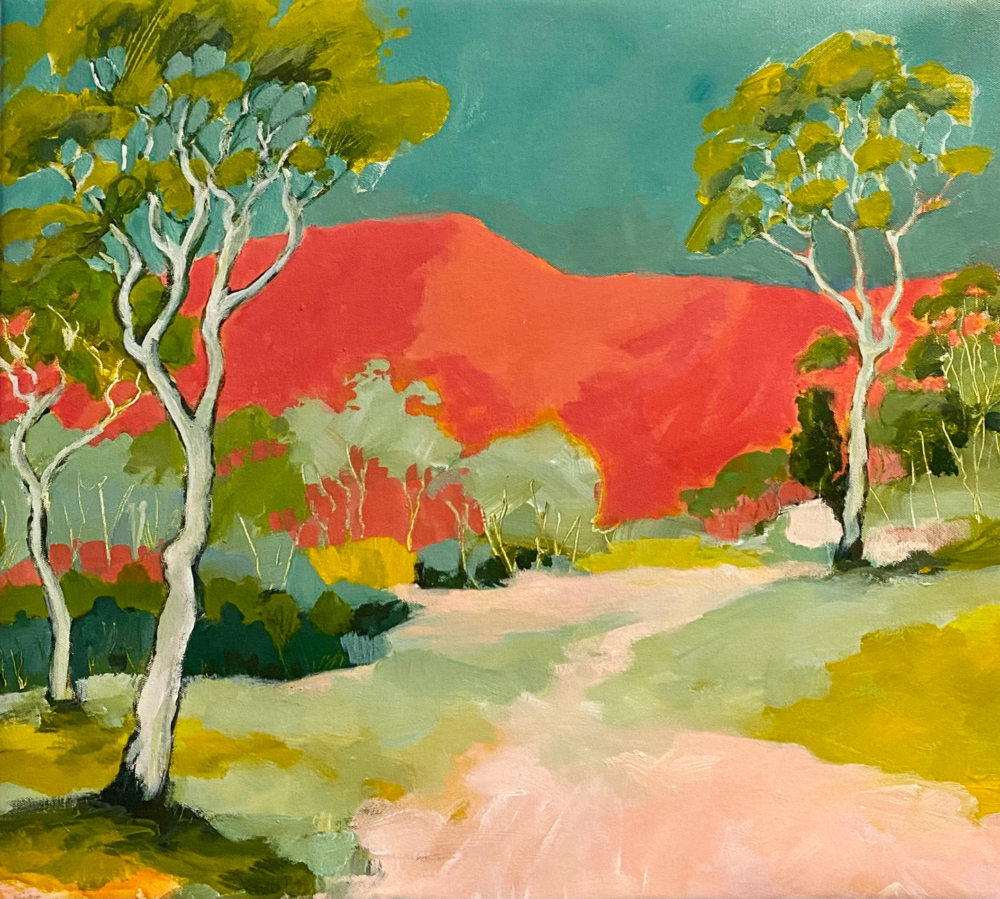 Upper Kangaroo Valley Ramble