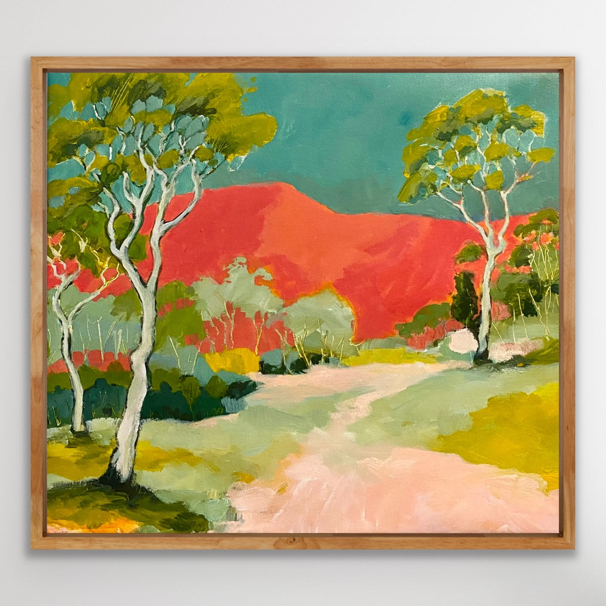 Upper Kangaroo Valley Ramble