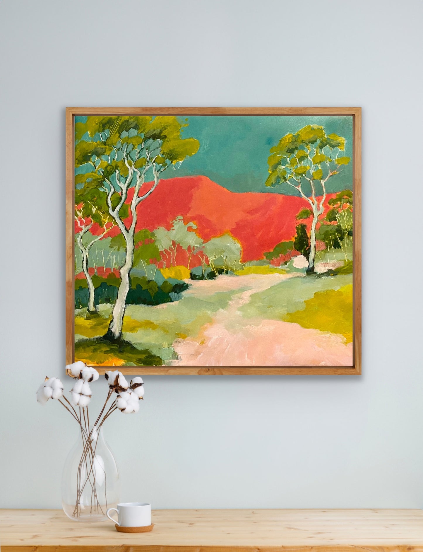 Upper Kangaroo Valley Ramble