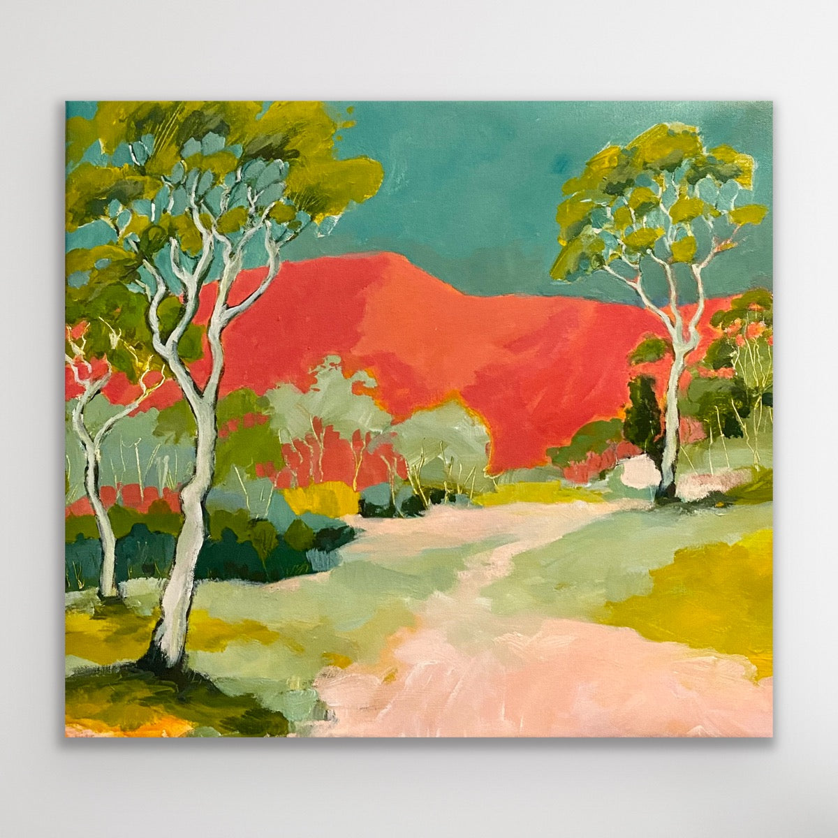 Upper Kangaroo Valley Ramble