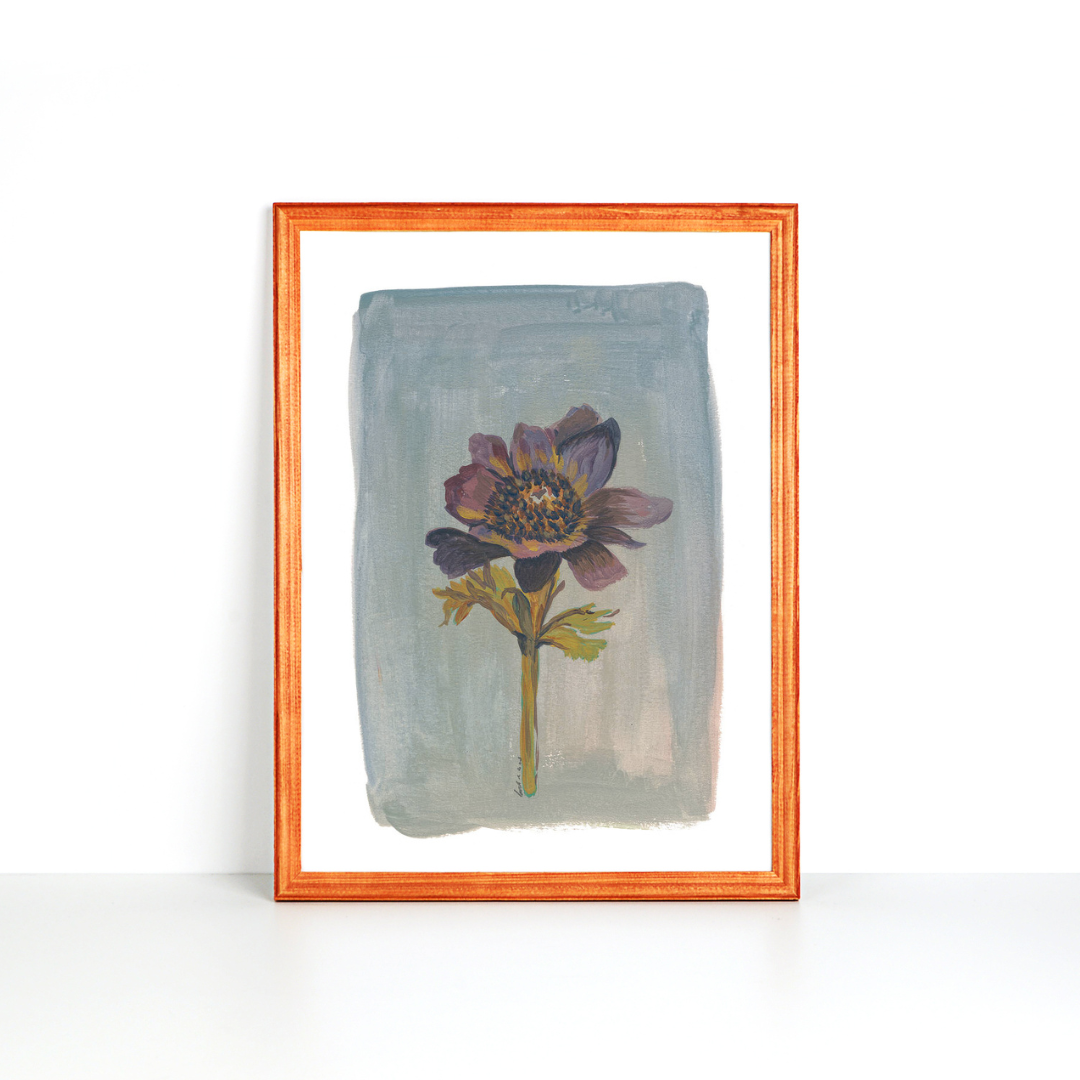 Still Life - Windflower