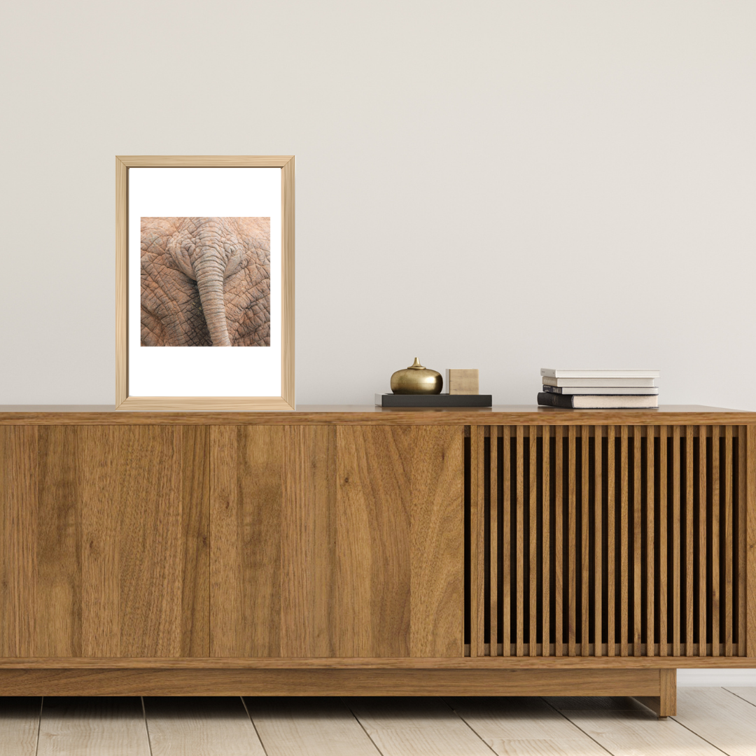 Back End African Elephant