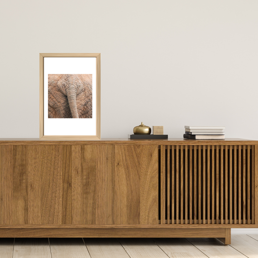 Back End African Elephant