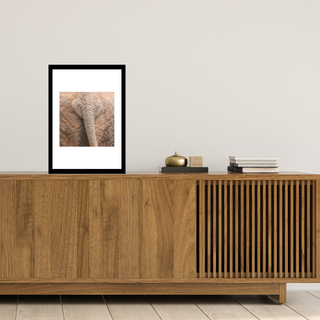 Back End African Elephant