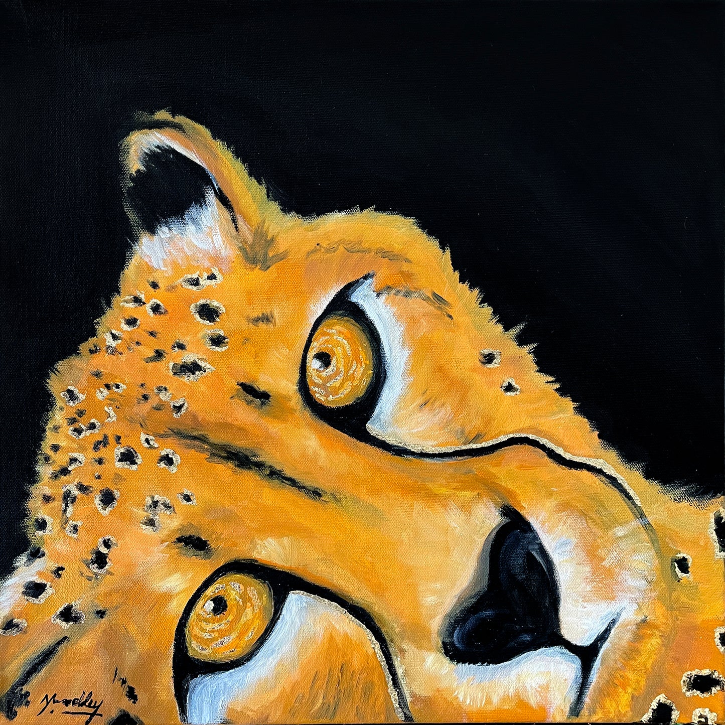 Golden Cheetah