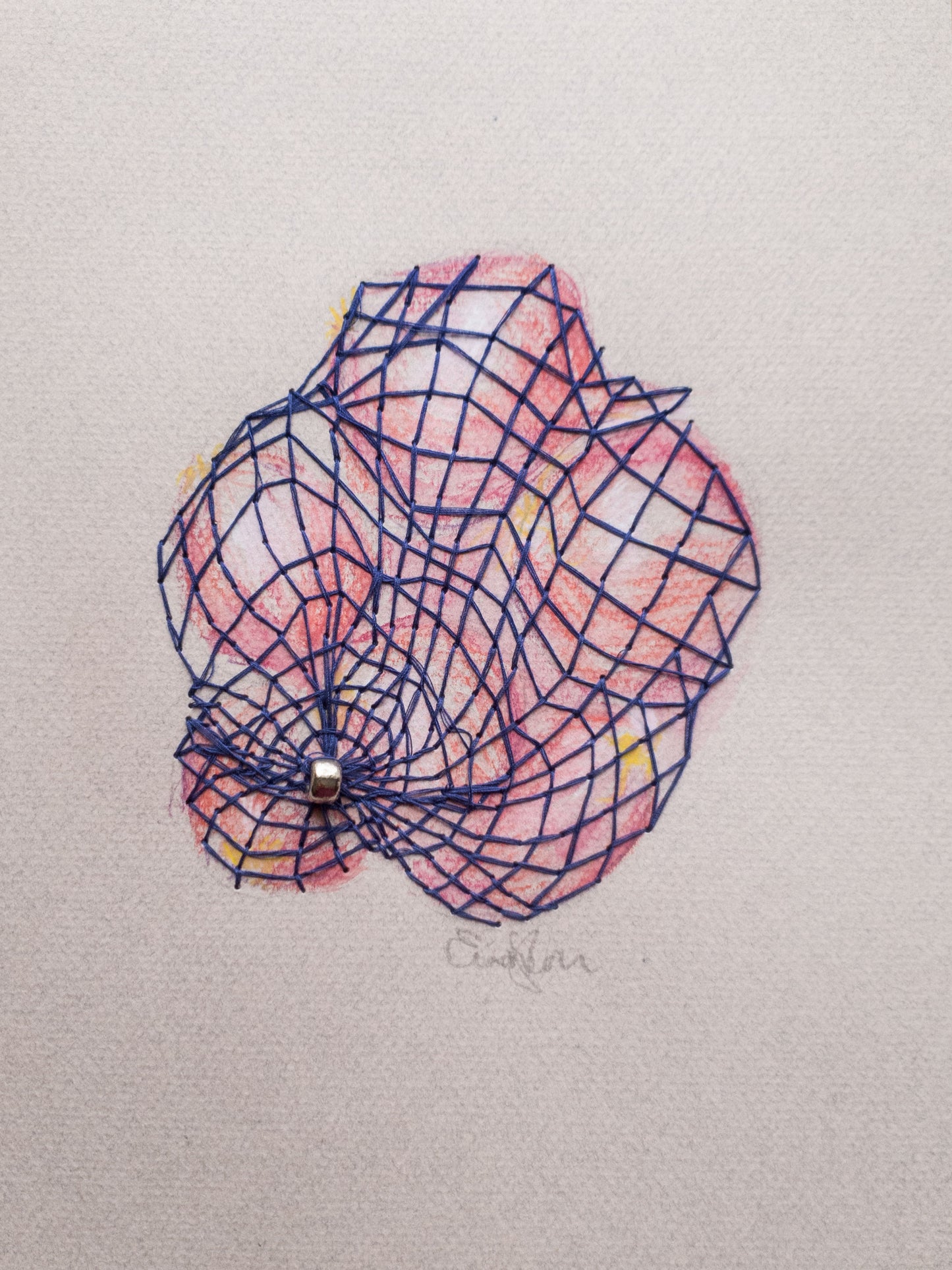 Bagged Veg: Red Onions