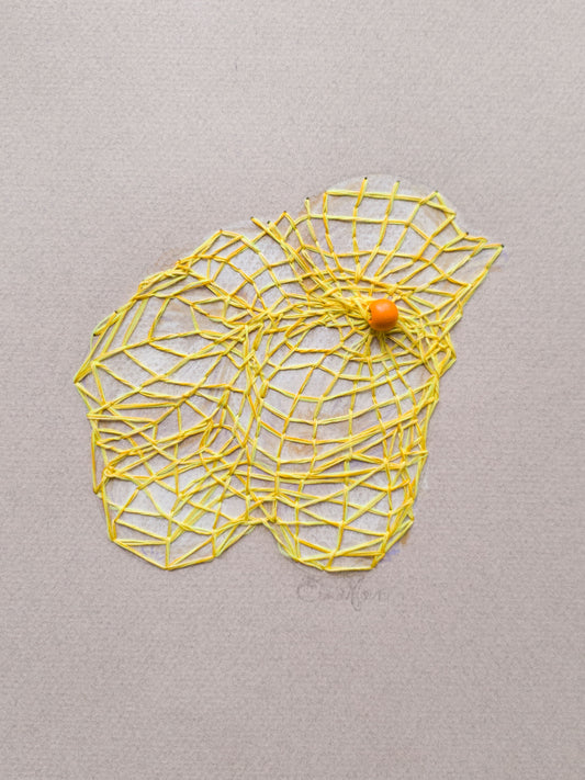 Bagged Veg: White Onions