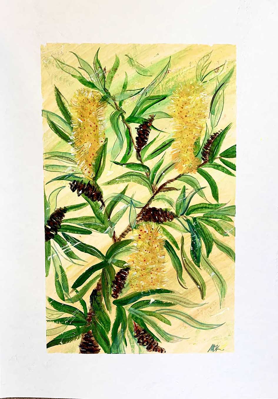 Banksia