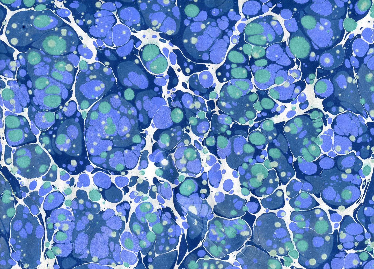 Blue coral
