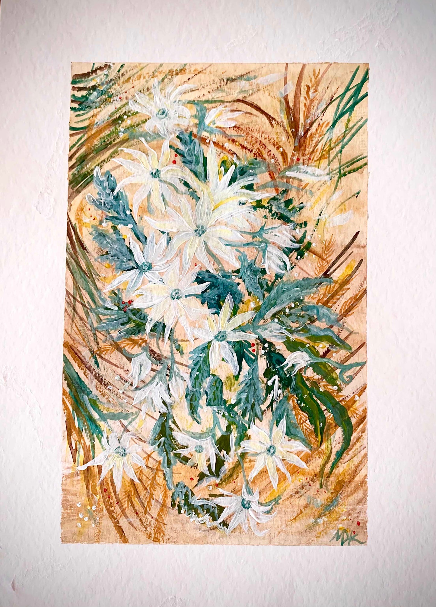 Flannel Flowers