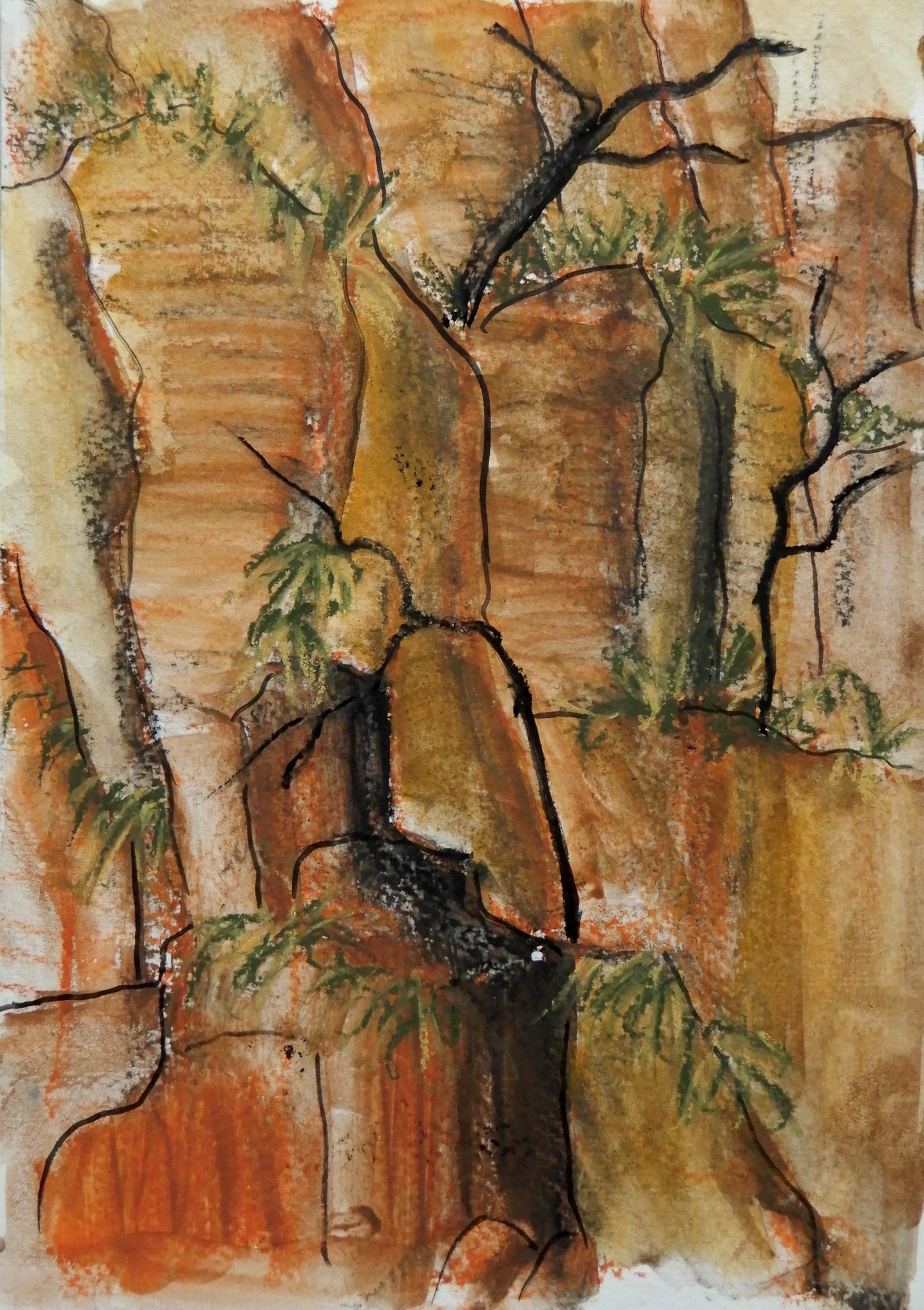 Kakadu 2