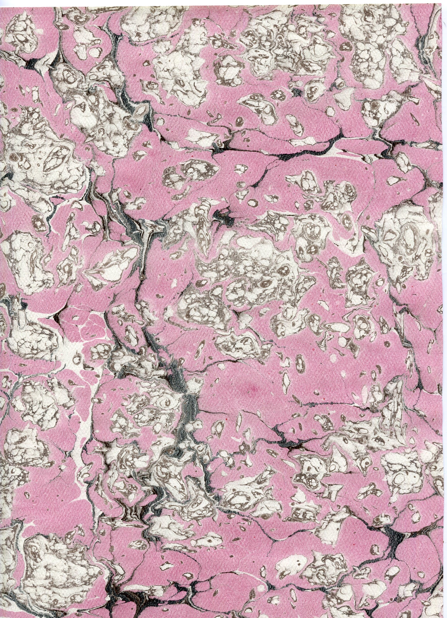 Pink Salt Lakes