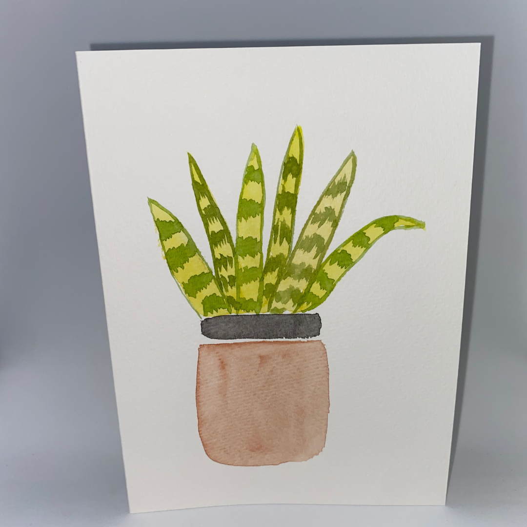 Plants Postcards