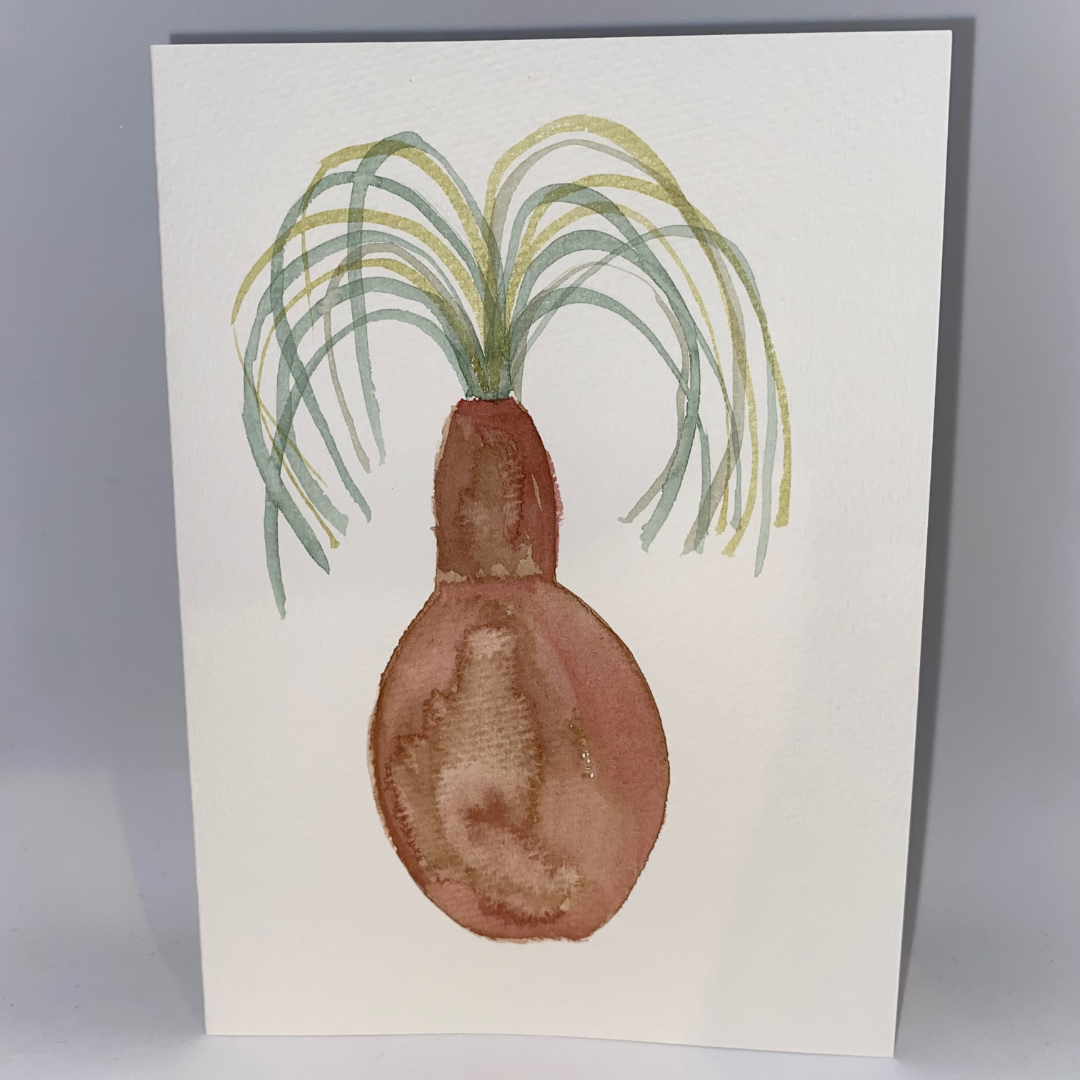 Plants Postcards