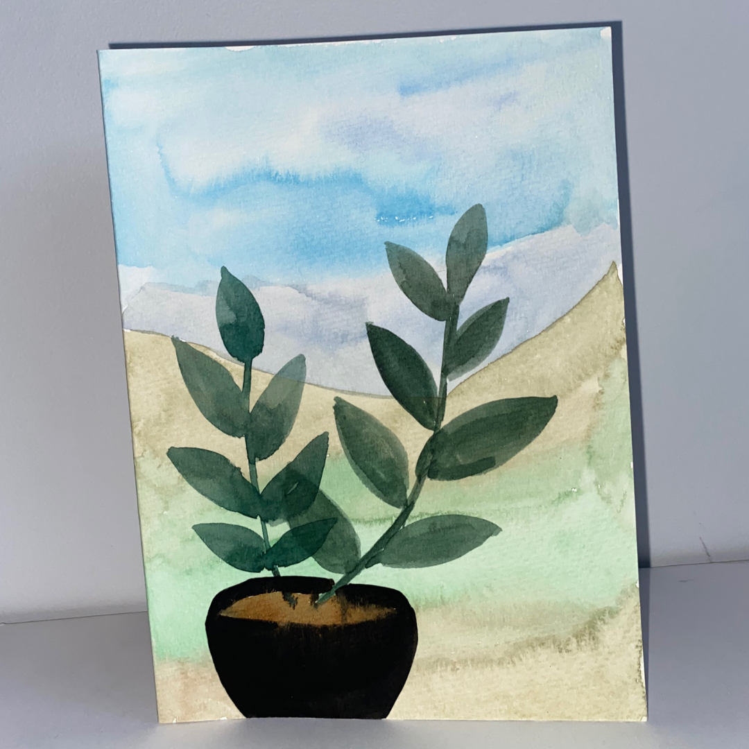 Plants Postcards
