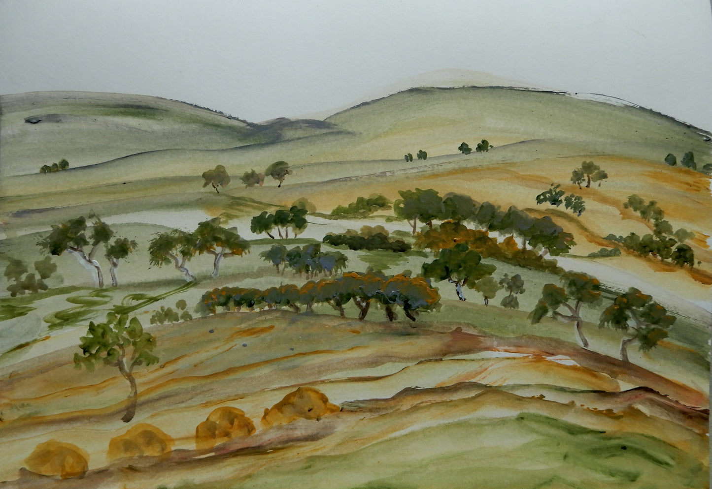 Riverbed