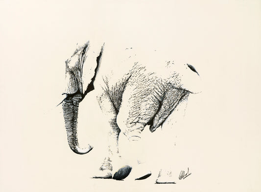 Elliegin