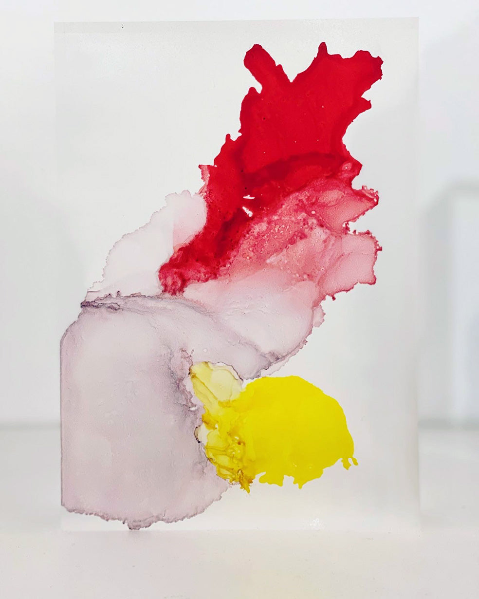 The Heart 01