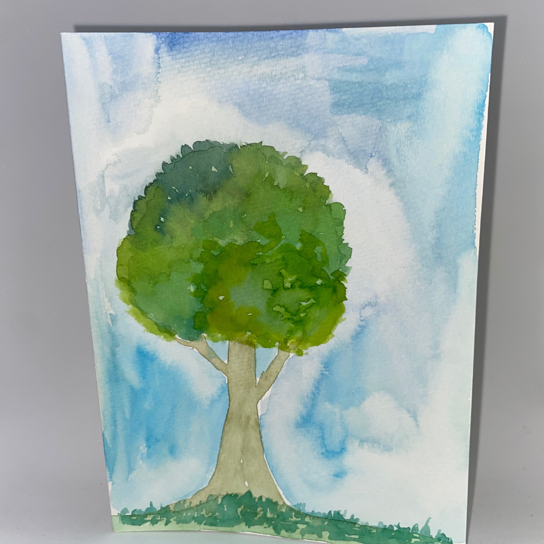 Plants Postcards