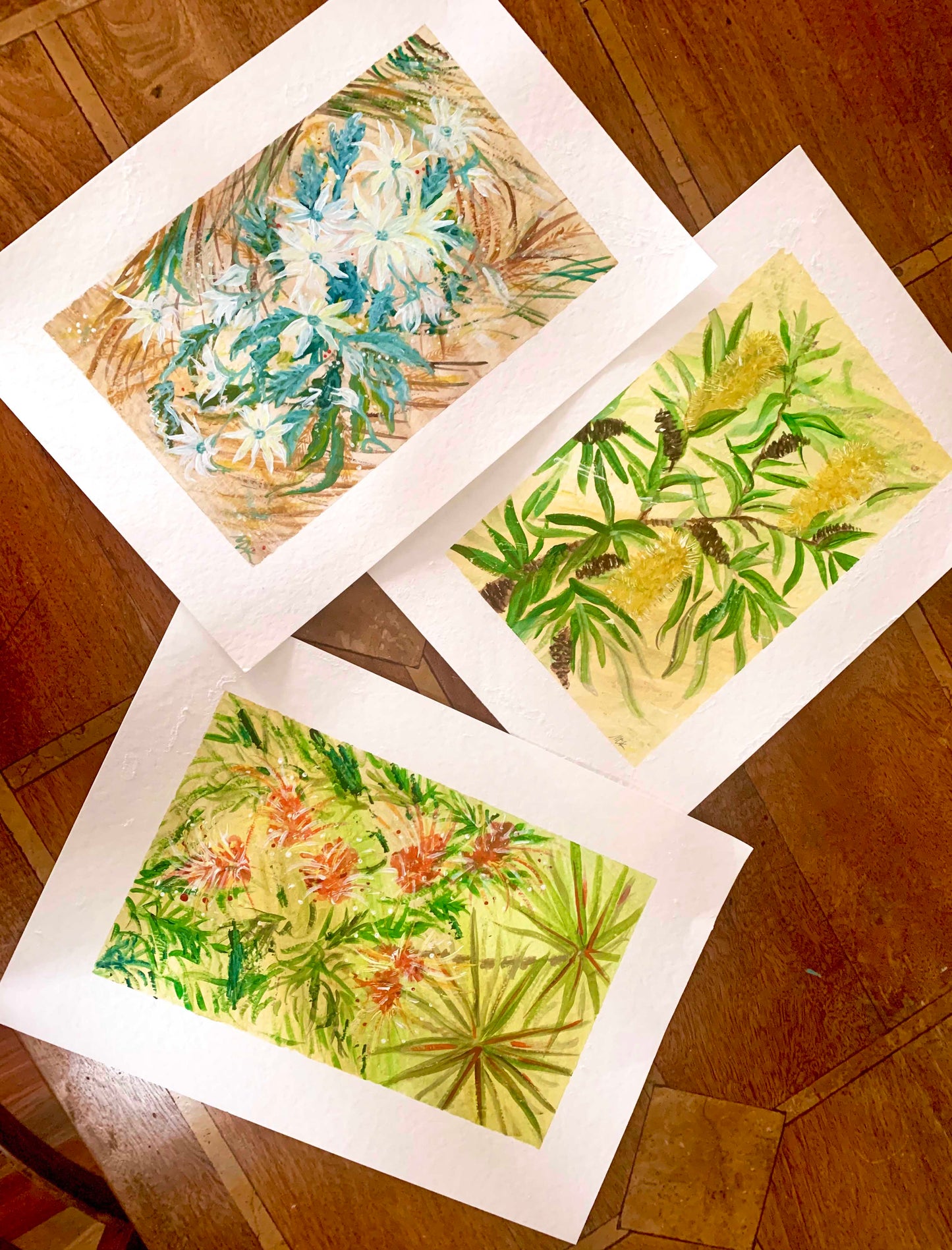 Flannel Flowers