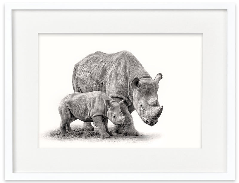 Rhinoceros and Calf