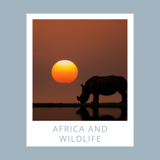 Africa and wildlife