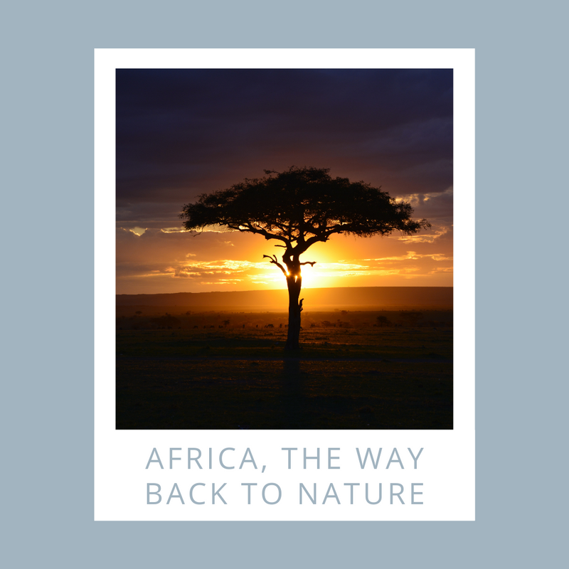 Africa, the way back to nature