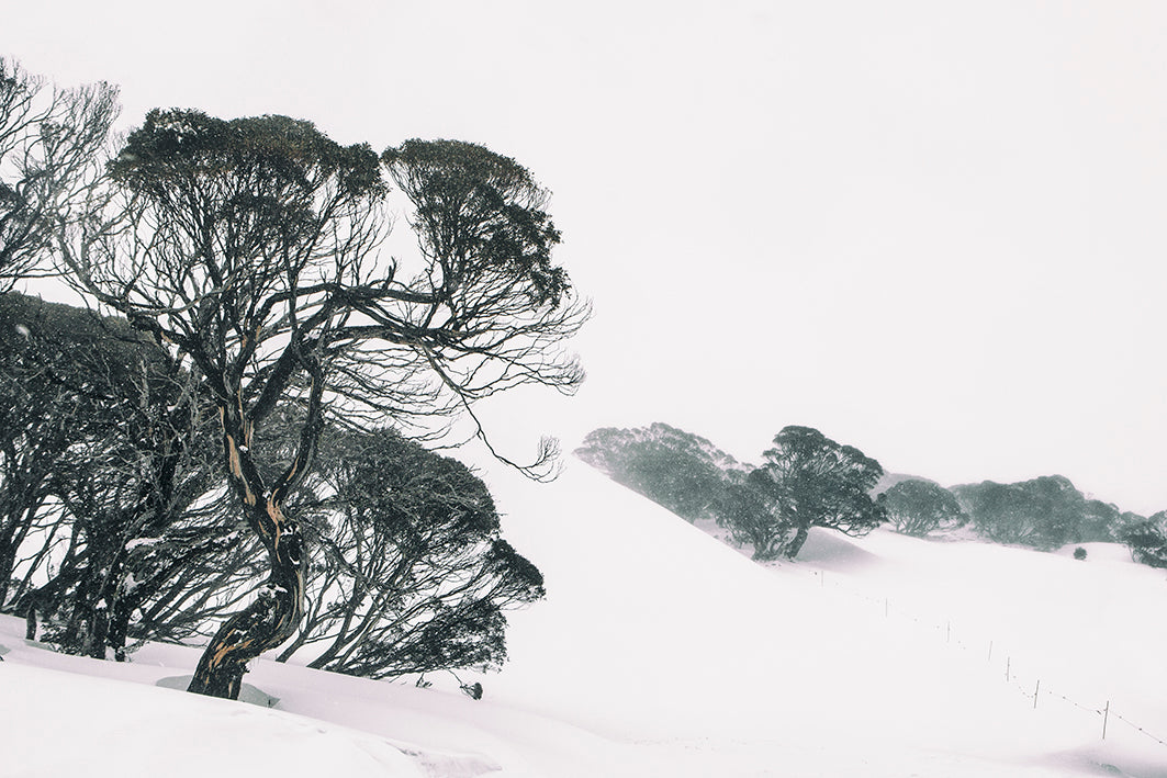 Beyond the Mountain House - Mt Kosciuszko