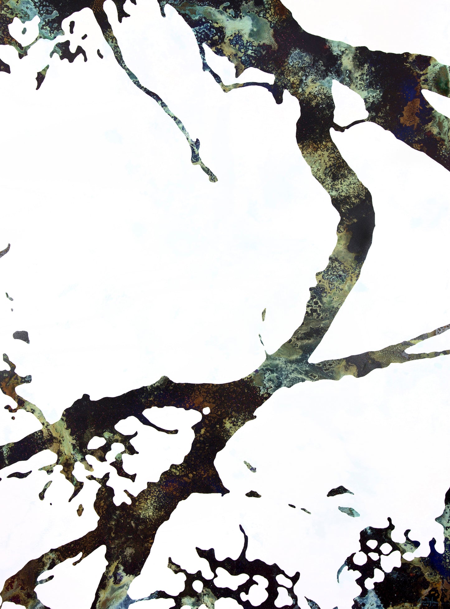 Flora-4