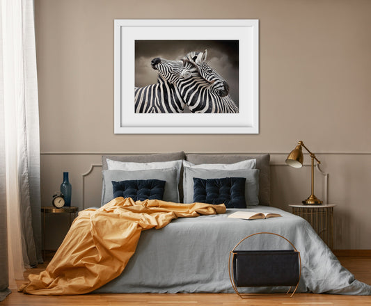 Zebras Entwined