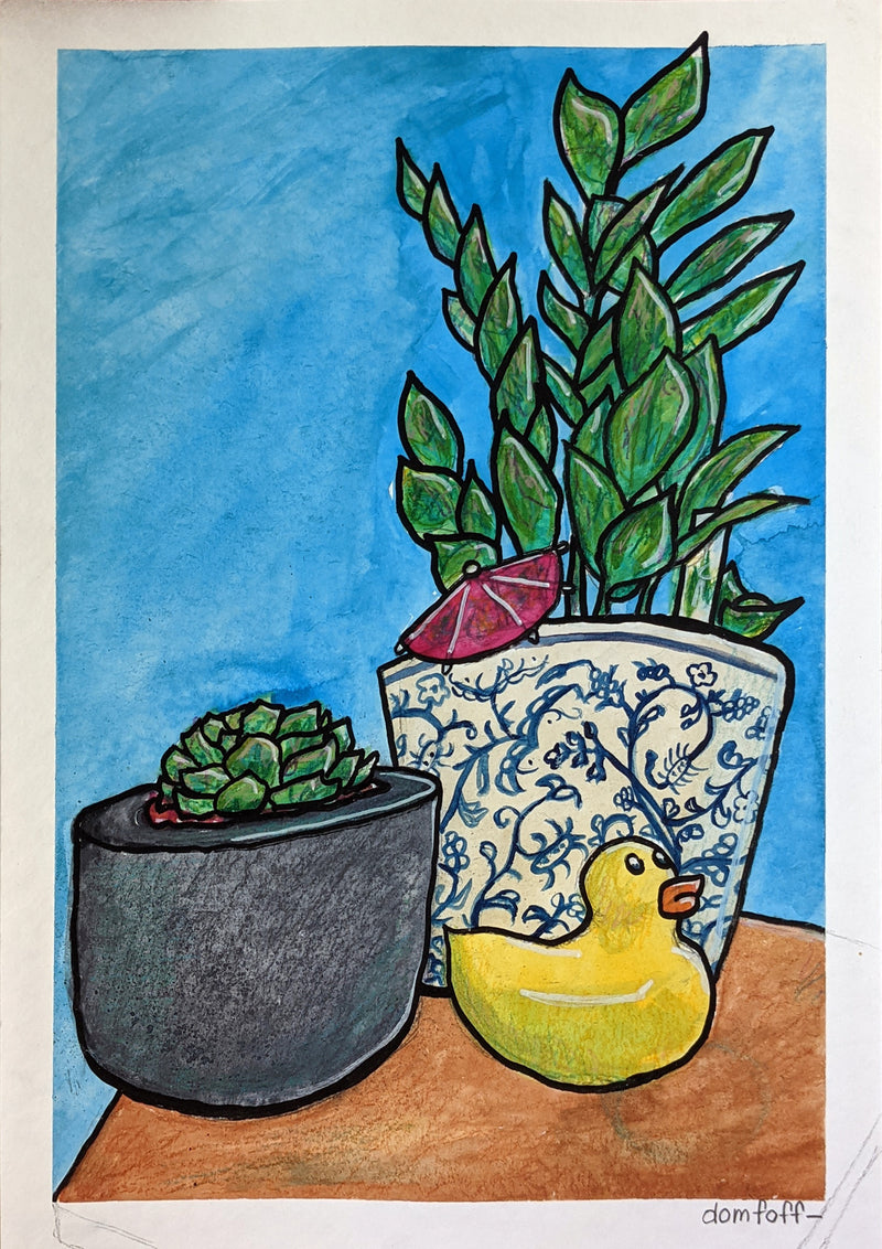 Plants, Pots and a Sunny Duck