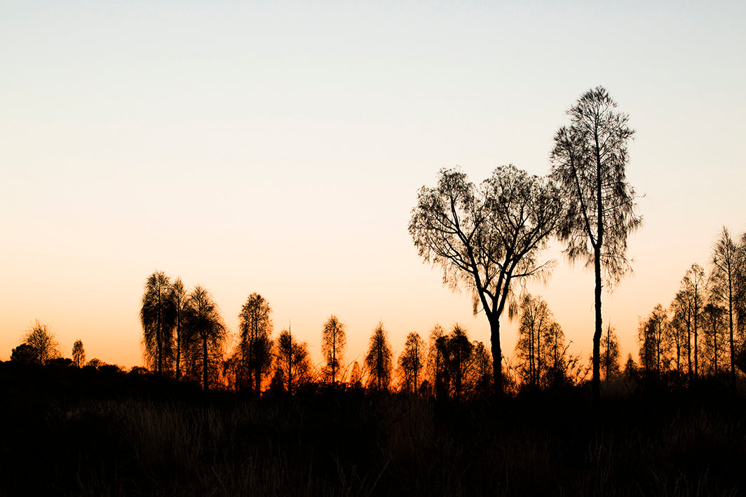 Red Centre