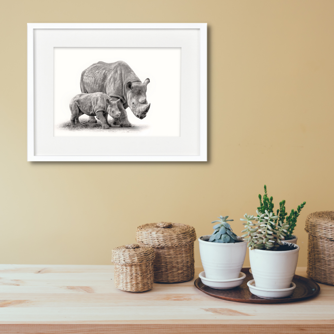 Rhinoceros and Calf