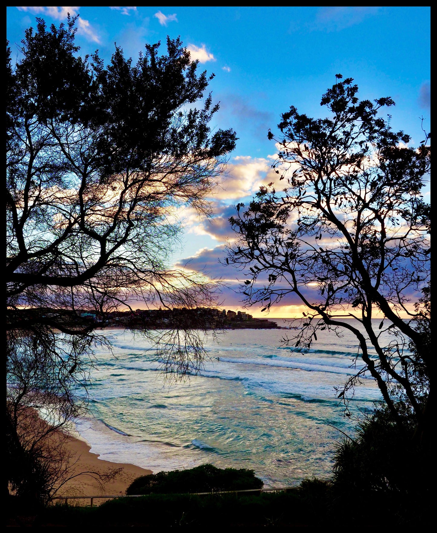 Spring Sunrise, Bondi Beach