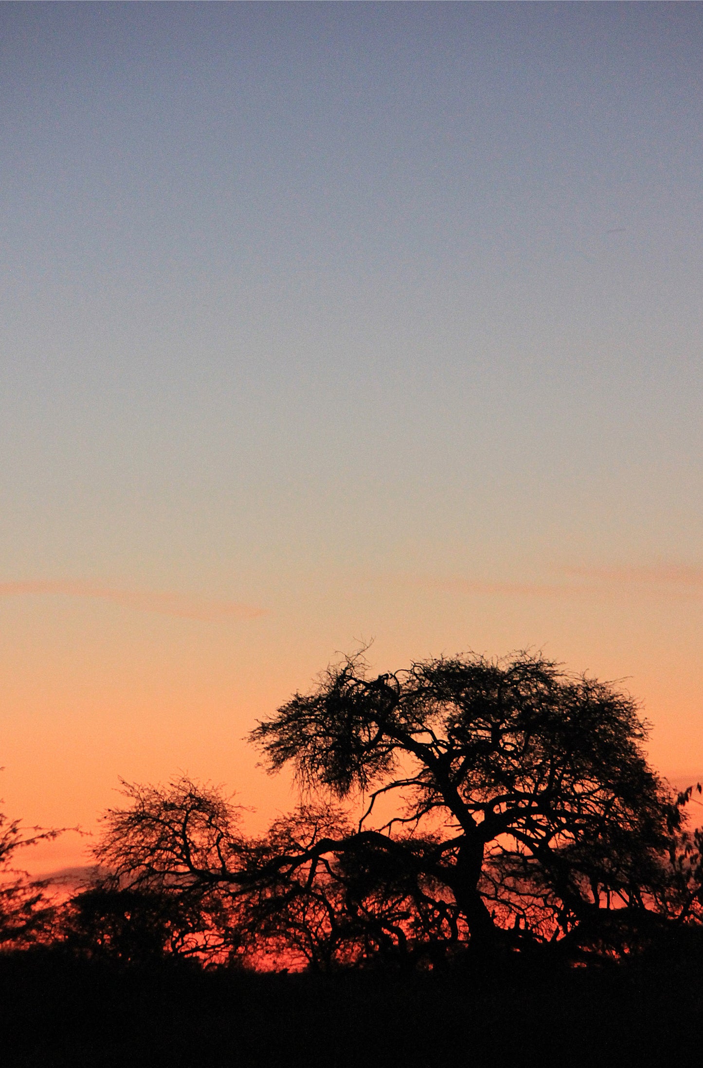 SUNSET SKY – BOTSWANA