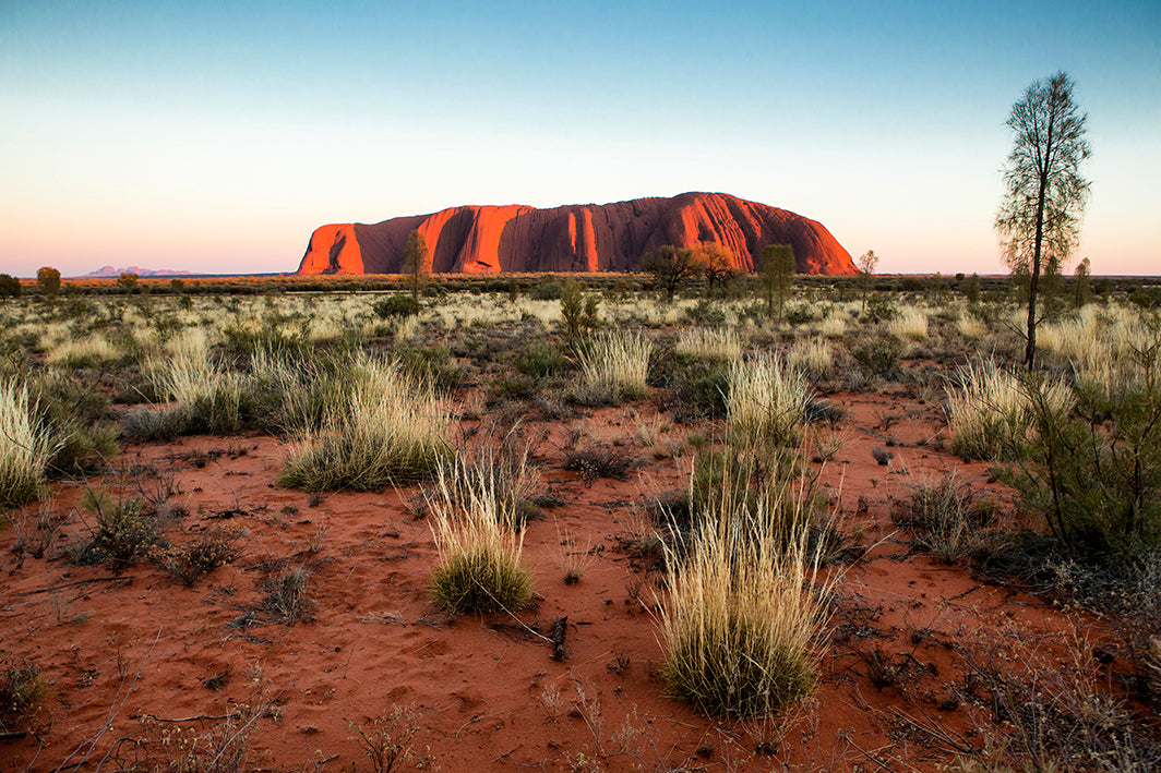 Uluru