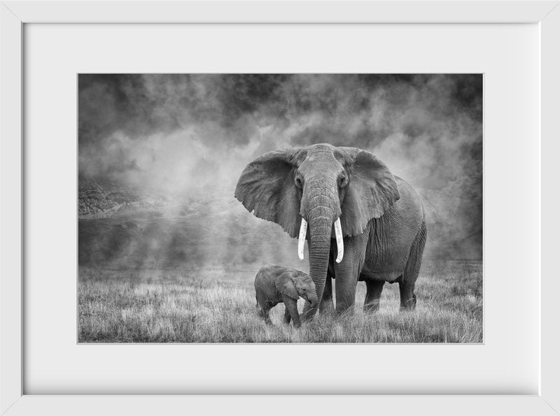 African Elephant and Calf