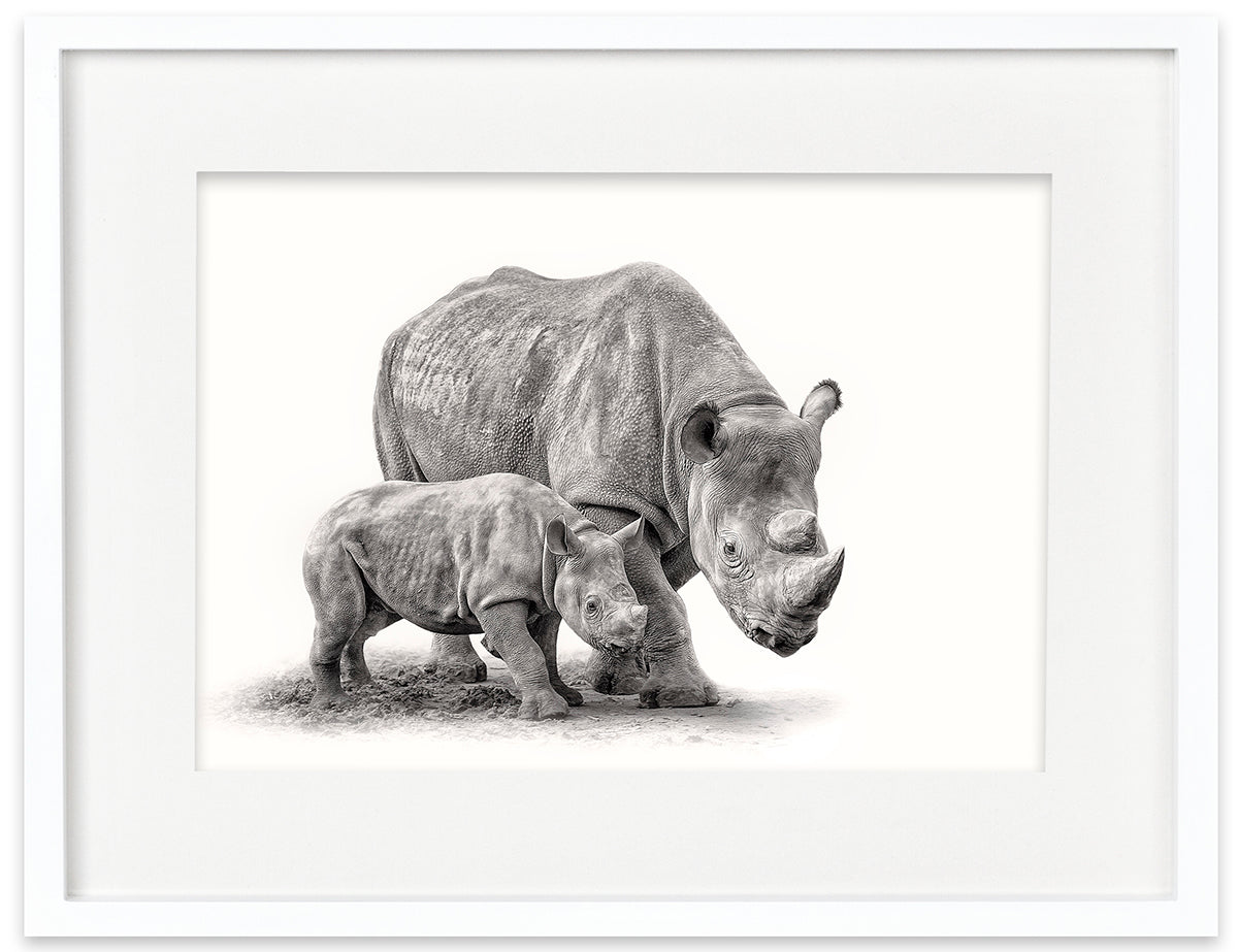 Rhinoceros and Calf